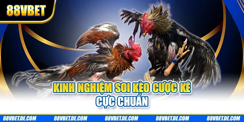 Kinh nghiệm soi kèo cược kê cực chuẩn